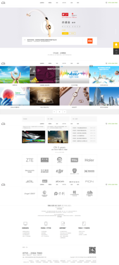 深圳企業(yè)網(wǎng)站的數(shù)字化翅膀 南隼互動(dòng)打造品牌競(jìng)爭(zhēng)力